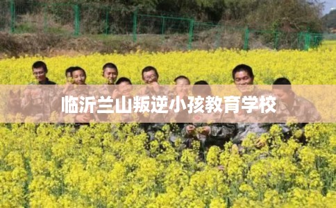 临沂兰山叛逆小孩教育学校 临沂兰山叛逆小孩教育学校