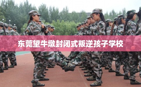 东莞望牛墩封闭式叛逆孩子学校