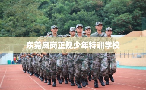 东莞凤岗正规少年特训学校