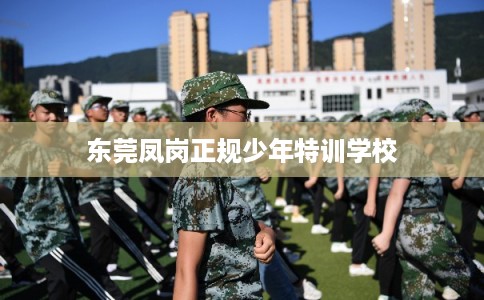 东莞凤岗正规少年特训学校