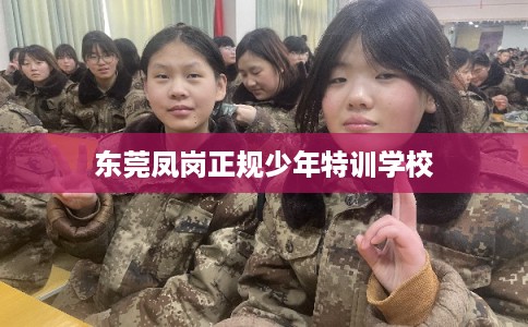 东莞凤岗正规少年特训学校