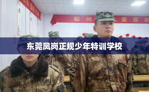 东莞凤岗正规少年特训学校