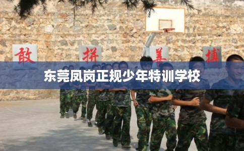 东莞凤岗正规少年特训学校
