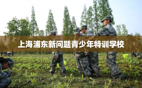 上海浦东新问题青少年特训学校