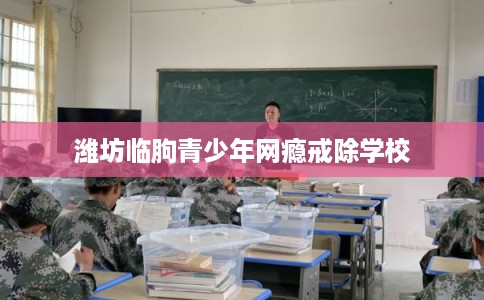 潍坊临朐青少年网瘾戒除学校 潍坊临朐青少年网瘾戒除学校