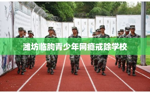 潍坊临朐青少年网瘾戒除学校 潍坊临朐青少年网瘾戒除学校