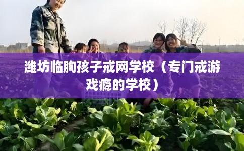 潍坊临朐孩子戒网学校(专门戒游戏瘾的学校) 潍坊临朐孩子戒网学校(专门戒游戏瘾的学校)