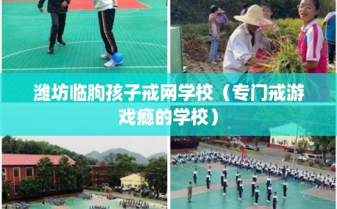 潍坊临朐孩子戒网学校(专门戒游戏瘾的学校) 潍坊临朐孩子戒网学校(专门戒游戏瘾的学校)