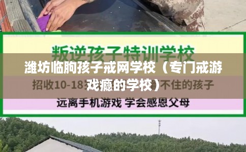 潍坊临朐孩子戒网学校(专门戒游戏瘾的学校) 潍坊临朐孩子戒网学校(专门戒游戏瘾的学校)