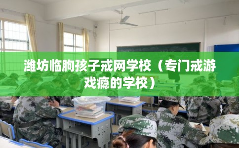 潍坊临朐孩子戒网学校(专门戒游戏瘾的学校) 潍坊临朐孩子戒网学校(专门戒游戏瘾的学校)