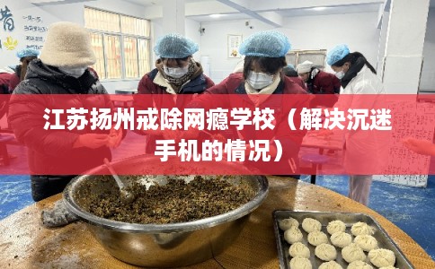 江苏扬州戒除网瘾学校(解决沉迷手机的情况) 江苏扬州戒除网瘾学校(解决沉迷手机的情况)