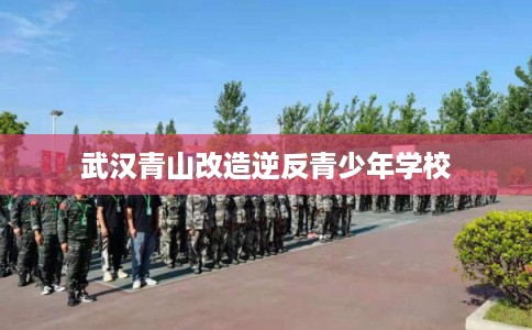 武汉青山改造逆反青少年学校 武汉青山改造逆反青少年学校