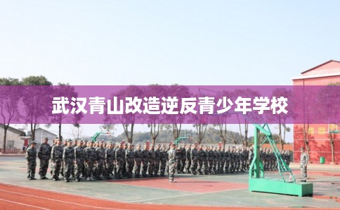 武汉青山改造逆反青少年学校 武汉青山改造逆反青少年学校