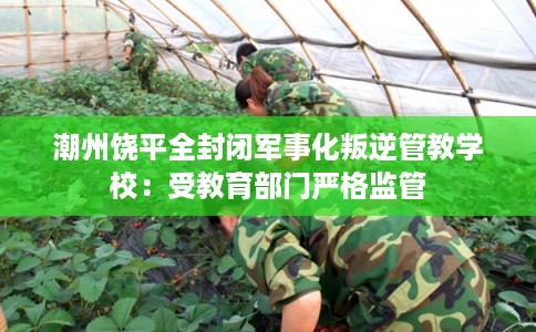 潮州饶平全封闭军事化叛逆管教学校:受教育部门严格监管 潮州饶平全封闭军事化叛逆管教学校:受教育部门严格监管