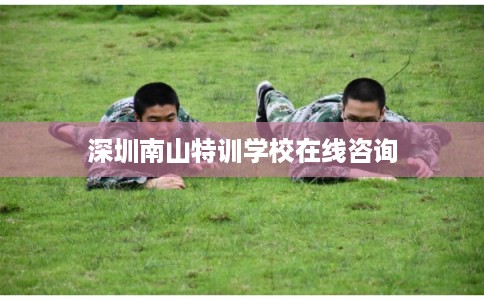 深圳南山特训学校在线咨询