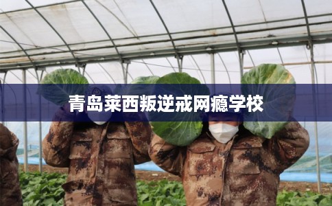 青岛莱西叛逆戒网瘾学校