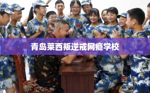 青岛莱西叛逆戒网瘾学校