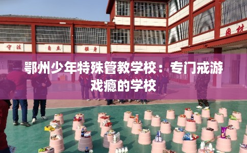 鄂州少年特殊管教学校:专门戒游戏瘾的学校 鄂州少年特殊管教学校:专门戒游戏瘾的学校