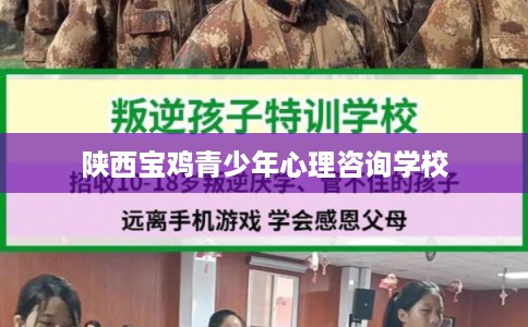 陕西宝鸡青少年心理咨询学校 陕西宝鸡青少年心理咨询学校