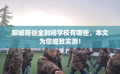 聊城阳谷全封闭学校有哪些，本文为您细致实测！
