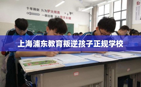 上海浦东教育叛逆孩子正规学校