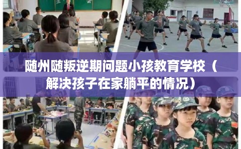 随州随叛逆期问题小孩教育学校(解决孩子在家躺平的情况) 随州随叛逆期问题小孩教育学校(解决孩子在家躺平的情况)