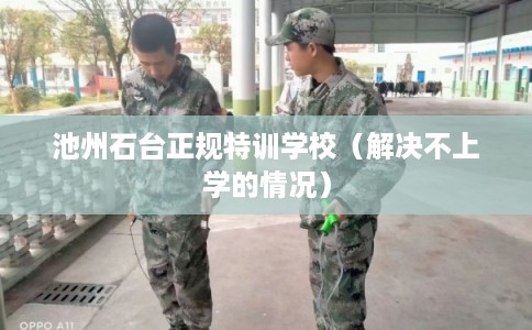 池州石台正规特训学校（解决不上学的情况）