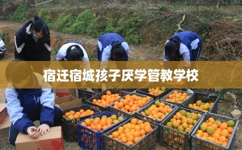 宿迁宿城孩子厌学管教学校